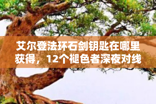 艾尔登法环石剑钥匙在哪里获得,12个褪色者深夜对线石剑钥匙!萌新哭诉被坑大神装X,老炮,都绷住! 艾尔登法环石剑钥匙在哪里获得,12个褪色者深夜对线石剑钥匙!萌新哭诉被坑大神装X,老炮,都绷住!