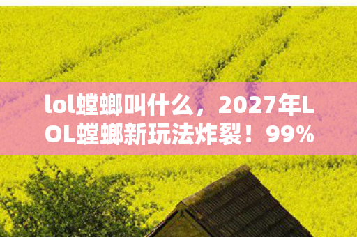 lol螳螂叫什么，2027年LOL螳螂新玩法炸裂！99%玩家不知的隐藏杀招？