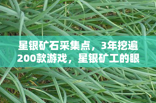 星银矿石采集点，3年挖遍200款游戏，星银矿工的眼泪，谁在透支我的热爱？