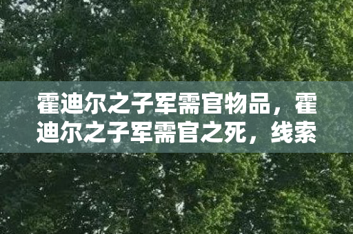 霍迪尔之子军需官物品，霍迪尔之子军需官之死，线索交织的悬案，毛骨悚然真相待揭