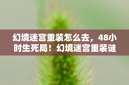 幻境迷宫重装怎么去，48小时生死局！幻境迷宫重装谜面撕裂时空，泪目数据见证百万玩家殒命