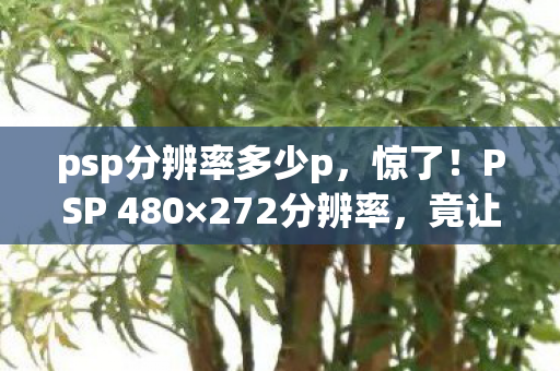 psp分辨率多少p,惊了!PSP 480×272分辨率,竟让手游主机玩家集体破防? psp分辨率多少p,惊了!PSP 480×272分辨率,竟让手游主机玩家集体破防?