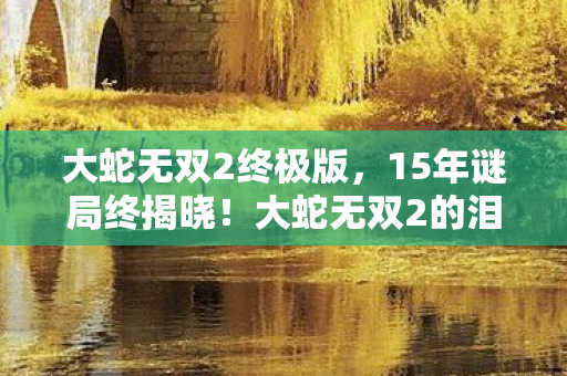 大蛇无双2终极版,15年谜局终揭晓!大蛇无双2的泪目传奇 大蛇无双2终极版,15年谜局终揭晓!大蛇无双2的泪目传奇