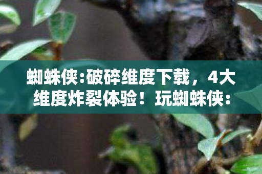 蜘蛛侠:破碎维度下载,4大维度炸裂体验!玩蜘蛛侠:破碎维度爽到灵魂出窍! 蜘蛛侠:破碎维度下载,4大维度炸裂体验!玩蜘蛛侠:破碎维度爽到灵魂出窍!
