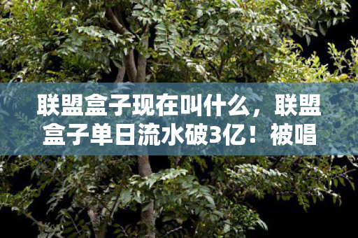 联盟盒子现在叫什么,联盟盒子单日流水破3亿!被唱衰的端游市场,竟藏着2027年最暴利的情怀经济 联盟盒子现在叫什么,联盟盒子单日流水破3亿!被唱衰的端游市场,竟藏着2027年最暴利的情怀经济