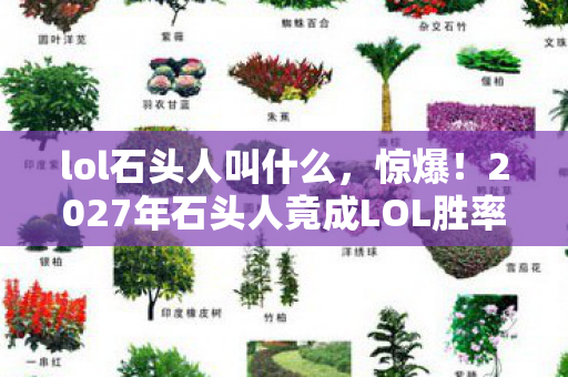 lol石头人叫什么,惊爆!2027年石头人竟成LOL胜率TOP1,背后隐藏啥秘密? lol石头人叫什么,惊爆!2027年石头人竟成LOL胜率TOP1,背后隐藏啥秘密?