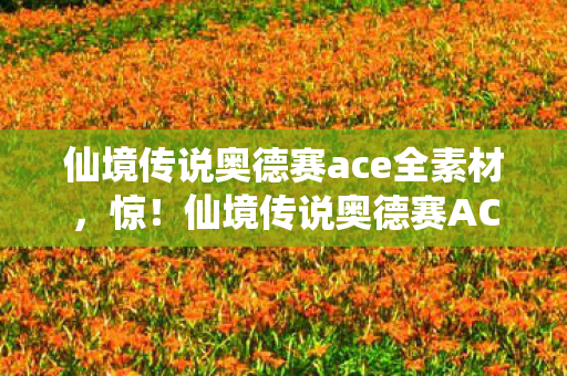 仙境传说奥德赛ace全素材，惊！仙境传说奥德赛ACE版本蹊跷大变，玩家直呼太意外！