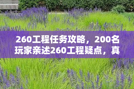 260工程任务攻略,200名玩家亲述260工程疑点,真相揭晓时我绷不住了 260工程任务攻略,200名玩家亲述260工程疑点,真相揭晓时我绷不住了
