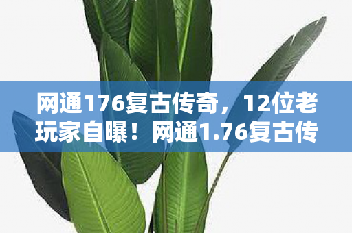 网通176复古传奇,12位老玩家自曝!网通1.76复古传奇疑点重重,这次真绷不住了 网通176复古传奇,12位老玩家自曝!网通1.76复古传奇疑点重重,这次真绷不住了