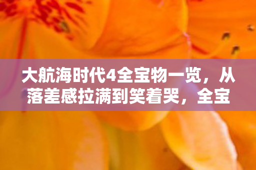 大航海时代4全宝物一览，从落差感拉满到笑着哭，全宝物真相揭开时，我抽了自己一嘴巴