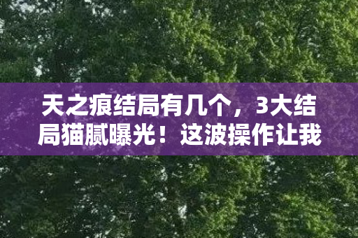 天之痕结局有几个，3大结局猫腻曝光！这波操作让我氪金手都抖了，真上头！
