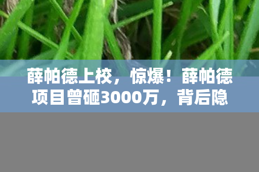 薛帕德上校，惊爆！薛帕德项目曾砸3000万，背后隐情曝光，结果让人吓一跳！