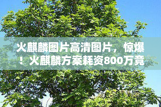 火麒麟图片高清图片，惊爆！火麒麟方案耗资800万竟藏致命隐情，离职老兵拍桌揭秘吓一跳！