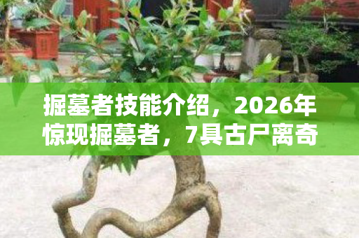 掘墓者技能介绍，2026年惊现掘墓者，7具古尸离奇失踪，背后真相令人窒息！