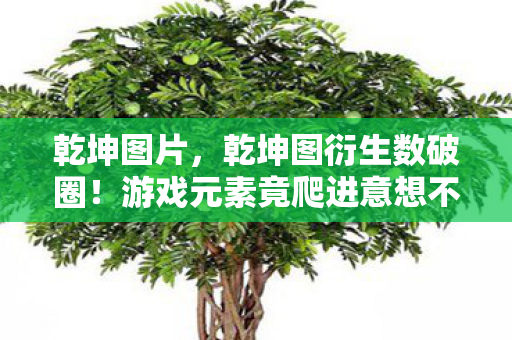 乾坤图片，乾坤图衍生数破圈！游戏元素竟爬进意想不到的潮流宇宙