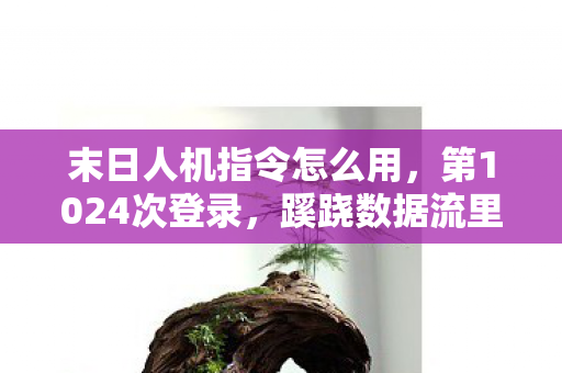 末日人机指令怎么用，第1024次登录，蹊跷数据流里，后背发凉的十年逃亡