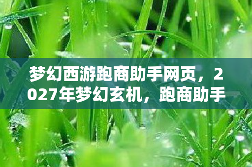 梦幻西游跑商助手网页，2027年梦幻玄机，跑商助手背后，藏着多少沉默的财富密码？