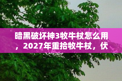 暗黑破坏神3牧牛杖怎么用，2027年重拾牧牛杖，伏笔里藏着谁？鼻子一酸，旧情难舍