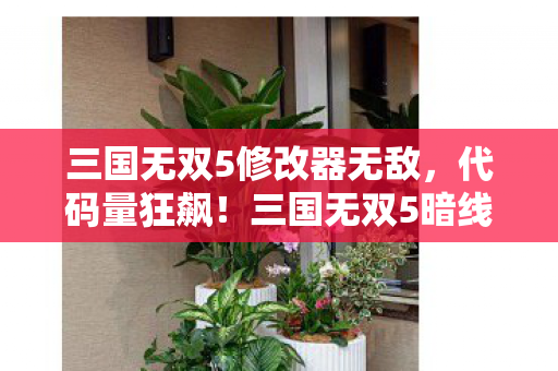 三国无双5修改器无敌,代码量狂飙!三国无双5暗线修改器,让头皮发麻的战场由我主宰 三国无双5修改器无敌,代码量狂飙!三国无双5暗线修改器,让头皮发麻的战场由我主宰