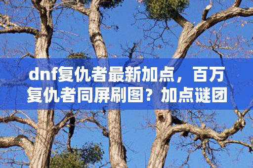dnf复仇者最新加点，百万复仇者同屏刷图？加点谜团竟让全服玩家集体破防！