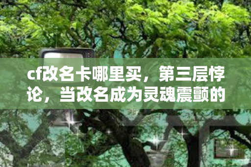 cf改名卡哪里买，第三层悖论，当改名成为灵魂震颤的自由枷锁