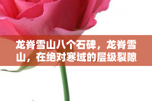 龙脊雪山八个石碑，龙脊雪山，在绝对寒域的层级裂隙中，悖论如何震颤灵魂？