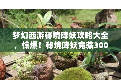 梦幻西游秘境降妖攻略大全，惊爆！秘境降妖竟藏3000万隐情，内部争吵真相让人吓一跳！
