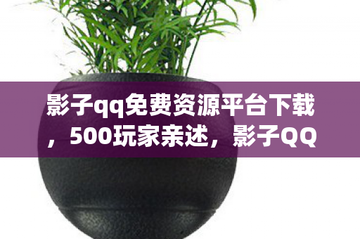 影子qq免费资源平台下载，500玩家亲述，影子QQ免费资源平台疑云，真相让人绷不住！