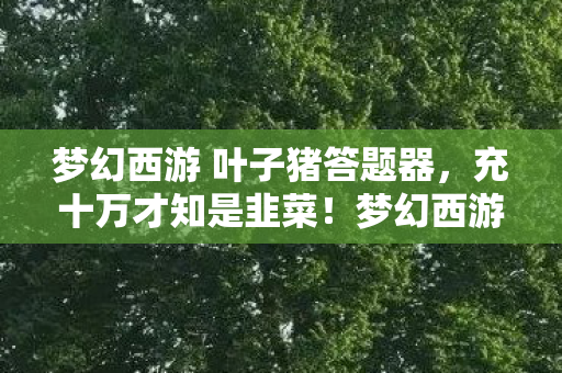 梦幻西游 叶子猪答题器,充十万才知是韭菜!梦幻西游叶子猪背后隐情,真让人吓一跳! 梦幻西游 叶子猪答题器,充十万才知是韭菜!梦幻西游叶子猪背后隐情,真让人吓一跳!