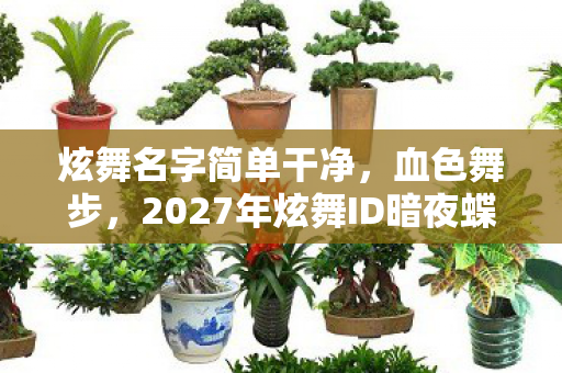 炫舞名字简单干净，血色舞步，2027年炫舞ID暗夜蝶影的死亡预告悬案