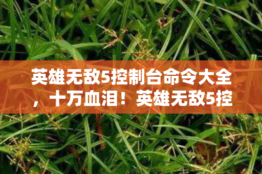 英雄无敌5控制台命令大全，十万血泪！英雄无敌5控制台付费陷阱曝光，玩家钱包集体暴毙！