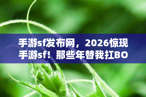 手游sf发布网,2026惊现手游sf!那些年替我扛BOSS的人,如今想起鼻子一酸 手游sf发布网,2026惊现手游sf!那些年替我扛BOSS的人,如今想起鼻子一酸