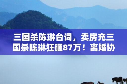 三国杀陈琳台词，卖房充三国杀陈琳狂砸87万！离婚协议藏隐情，妻子举动吓一跳