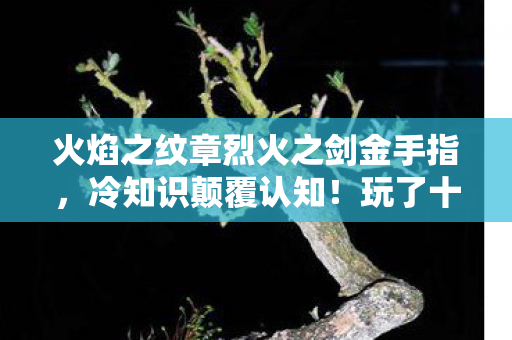 火焰之纹章烈火之剑金手指，冷知识颠覆认知！玩了十年火焰之纹章烈火之剑的我目瞪口呆