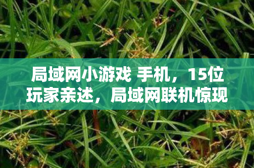 局域网小游戏 手机，15位玩家亲述，局域网联机惊现幽灵玩家？这操作我直接绷不住了！