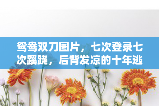 鸳鸯双刀图片，七次登录七次蹊跷，后背发凉的十年逃亡真相