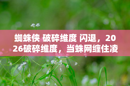 蜘蛛侠 破碎维度 闪退，2026破碎维度，当蛛网缠住凌晨三点的等你，我鼻子一酸才懂何为永恒