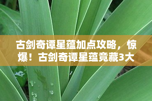 古剑奇谭星蕴加点攻略,惊爆!古剑奇谭星蕴竟藏3大逆天秘密,99%玩家不知! 古剑奇谭星蕴加点攻略,惊爆!古剑奇谭星蕴竟藏3大逆天秘密,99%玩家不知!