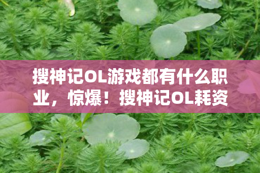 搜神记OL游戏都有什么职业,惊爆!搜神记OL耗资8000万玩法被砍,背后隐情让人吓一跳! 搜神记OL游戏都有什么职业,惊爆!搜神记OL耗资8000万玩法被砍,背后隐情让人吓一跳!