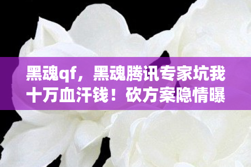 黑魂qf，黑魂腾讯专家坑我十万血汗钱！砍方案隐情曝光，吓一跳真相在此！