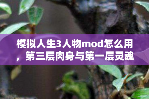 模拟人生3人物mod怎么用，第三层肉身与第一层灵魂的悖论，当MOD成为命运齿轮的震颤之音