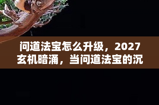 问道法宝怎么升级，2027玄机暗涌，当问道法宝的沉默，撕开我十年游戏人生的真相