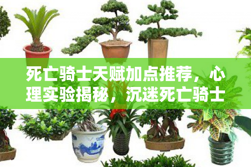 死亡骑士天赋加点推荐，心理实验揭秘，沉迷死亡骑士天赋？多巴胺陷阱细思极恐！