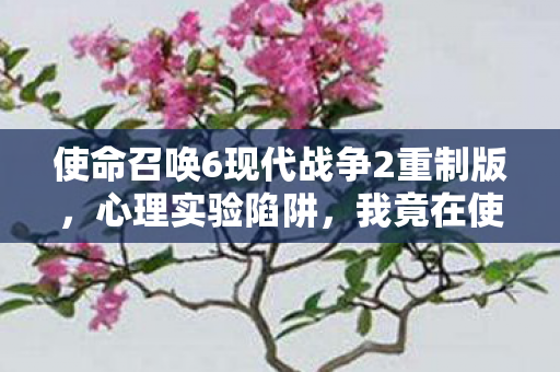 使命召唤6现代战争2重制版，心理实验陷阱，我竟在使命召唤6里沉迷三年，细思极恐！