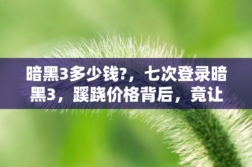 暗黑3多少钱?，七次登录暗黑3，蹊跷价格背后，竟让我后背发凉！