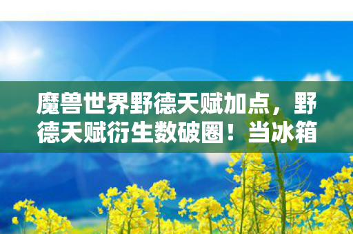 魔兽世界野德天赋加点，野德天赋衍生数破圈！当冰箱空了，我的猫都开始学月火术了