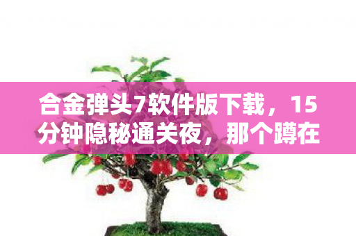 合金弹头7软件版下载，15分钟隐秘通关夜，那个蹲在网吧角落哽咽的少年，如今还在吗