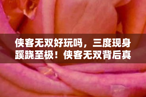 侠客无双好玩吗，三度现身蹊跷至极！侠客无双背后真相，让人后背发凉！