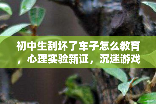 初中生刮坏了车子怎么教育，心理实验新证，沉迷游戏式惩罚竟暗藏细思极恐的神经操控