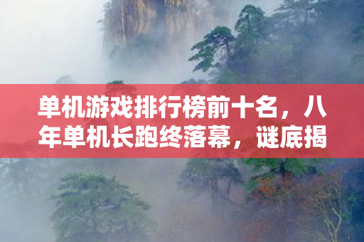 单机游戏排行榜前十名，八年单机长跑终落幕，谜底揭晓时泪目，我的青春零存档